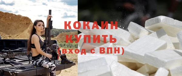стаф Аркадак