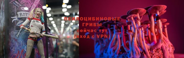 стаф Аркадак