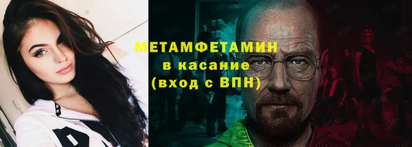 стаф Аркадак