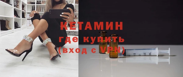 стаф Аркадак
