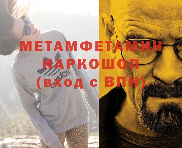 стаф Аркадак