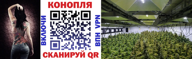 Бошки Шишки SATIVA & INDICA  Купить  Отрадная 